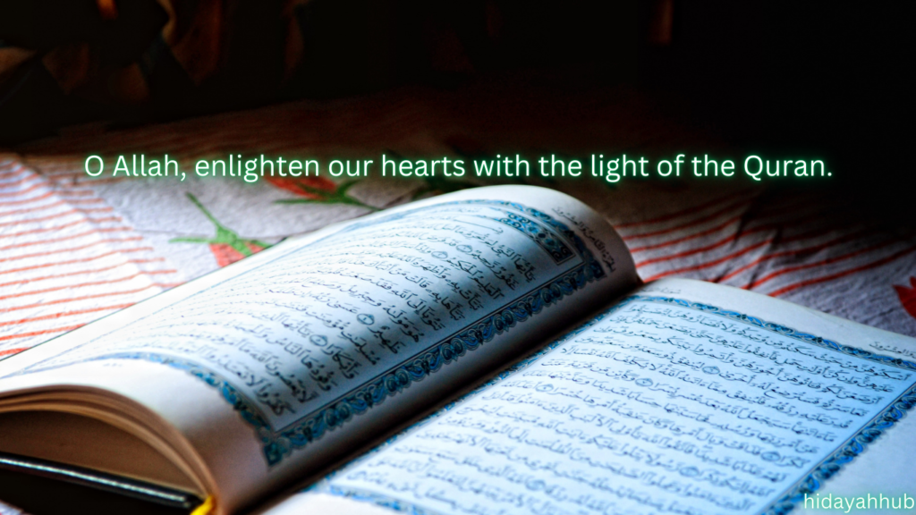 Every Muslim has 5 rights to the Quran