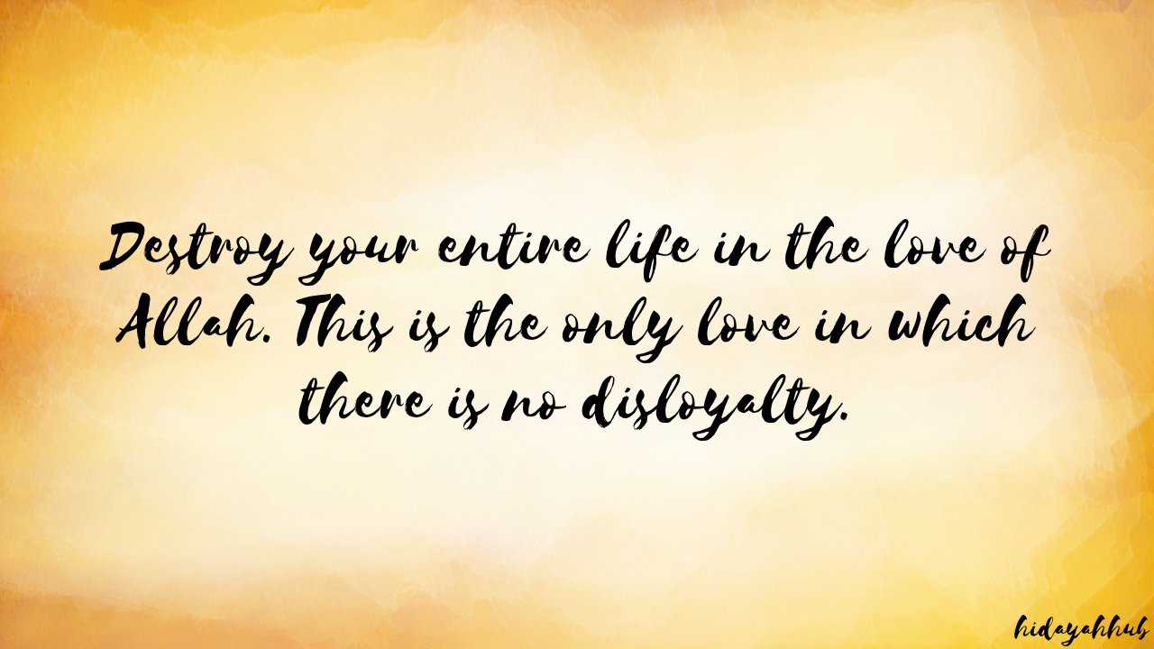 The Light of the Heart: The Journey of Allah's Love: