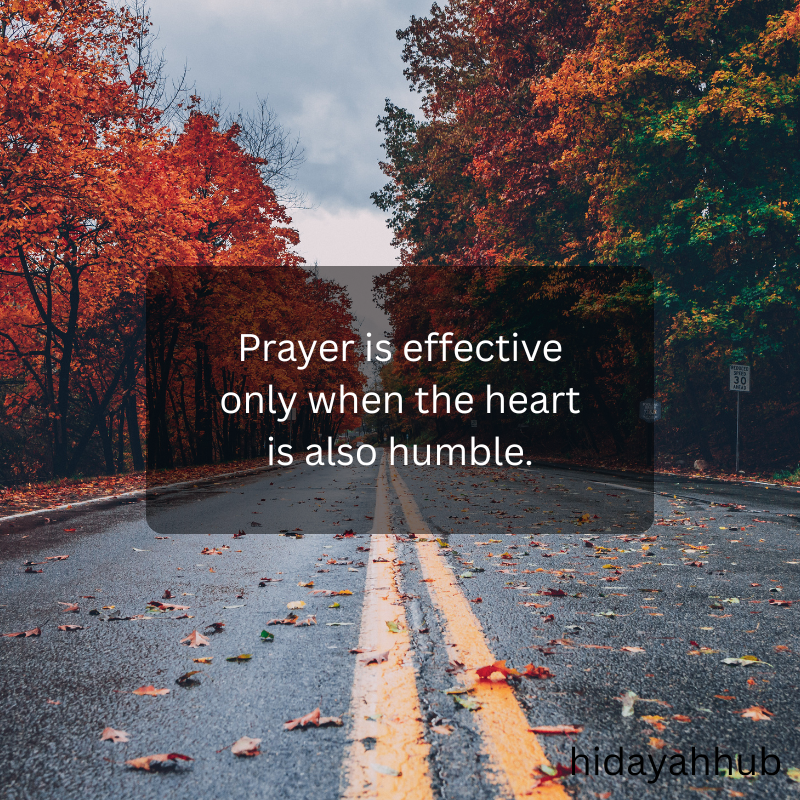 Do you really come to meet Allah?