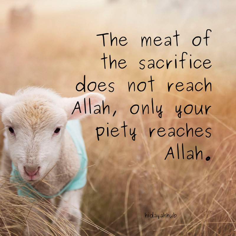 What is the reality of the sacrifice of Abraham?