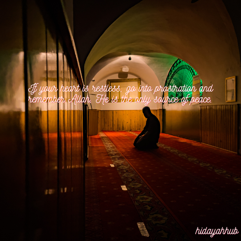 Do you really come to meet Allah?